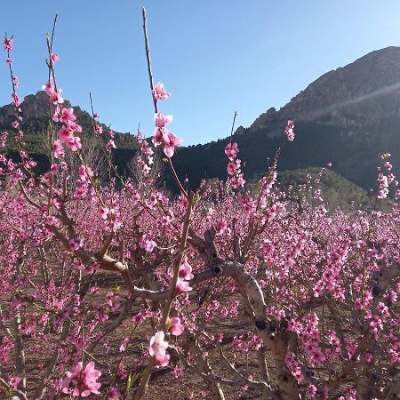 Apartamento Tranquilo Cerca De Zonas Verdes 希耶萨 外观 照片