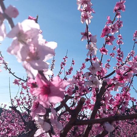 Apartamento Tranquilo Cerca De Zonas Verdes 希耶萨 外观 照片