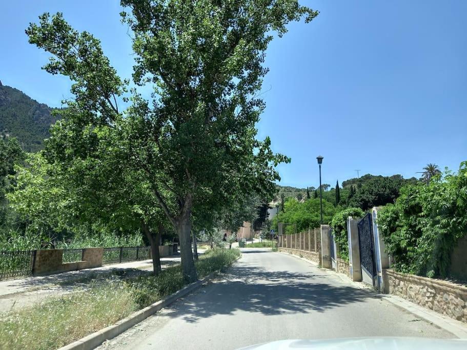 Apartamento Tranquilo Cerca De Zonas Verdes 希耶萨 外观 照片