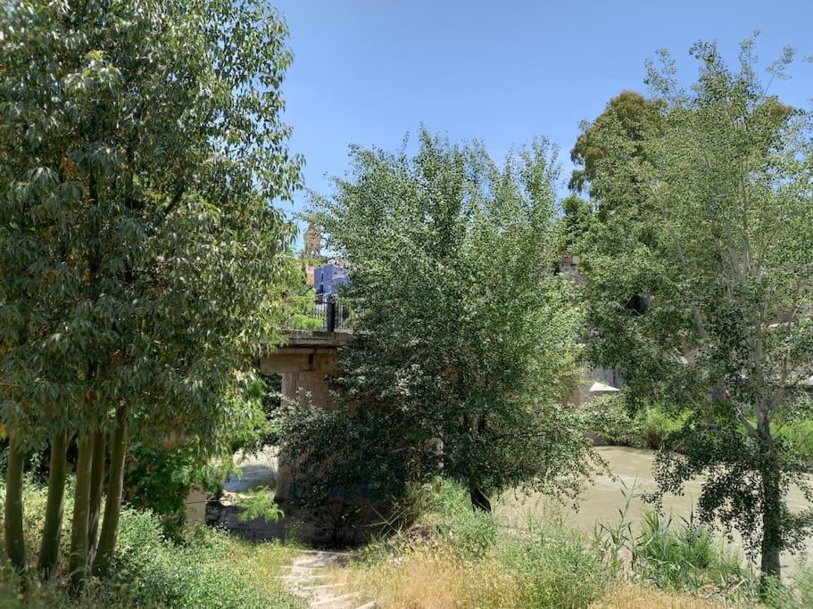 Apartamento Tranquilo Cerca De Zonas Verdes 希耶萨 外观 照片