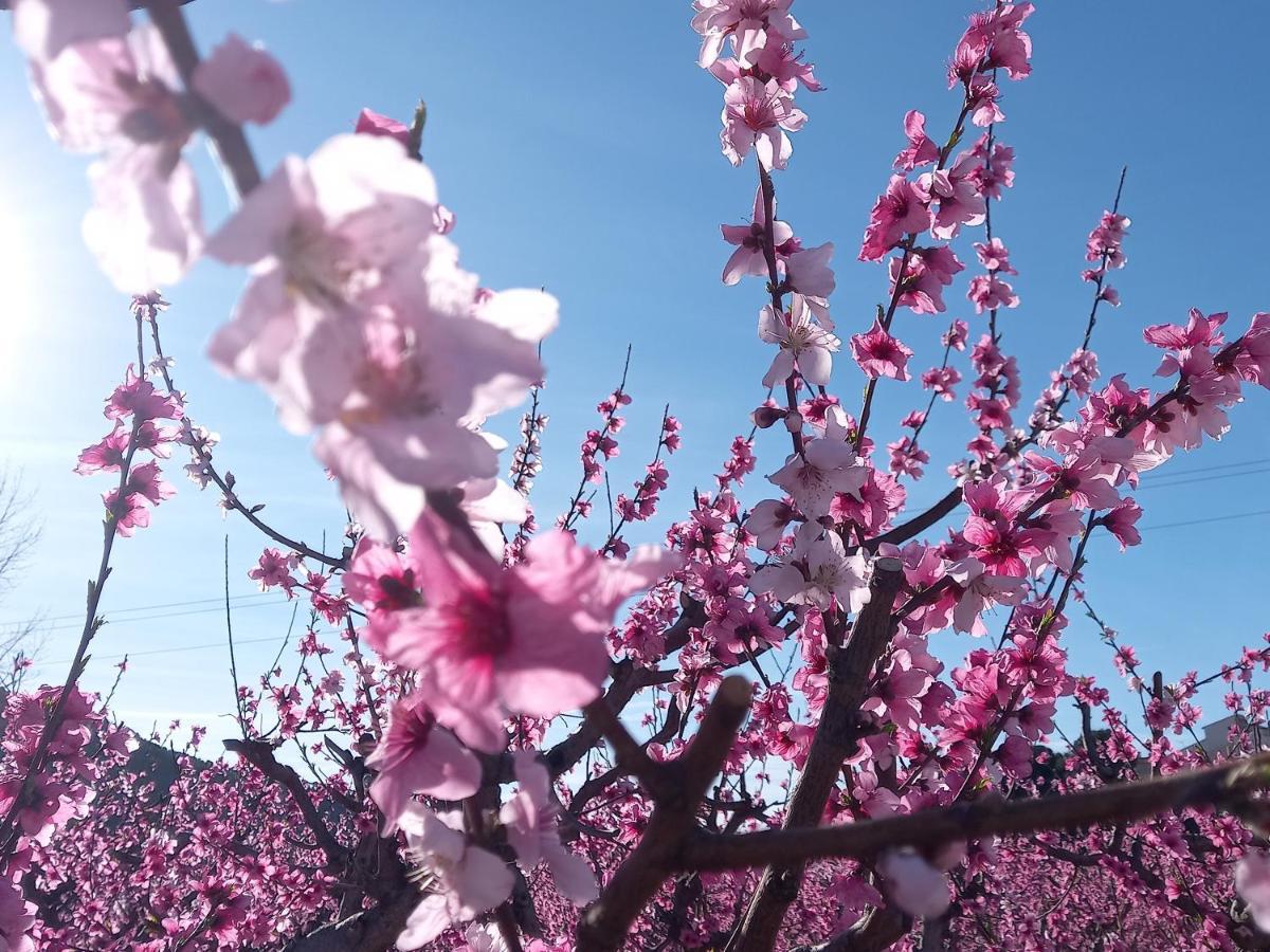 Apartamento Tranquilo Cerca De Zonas Verdes 希耶萨 外观 照片